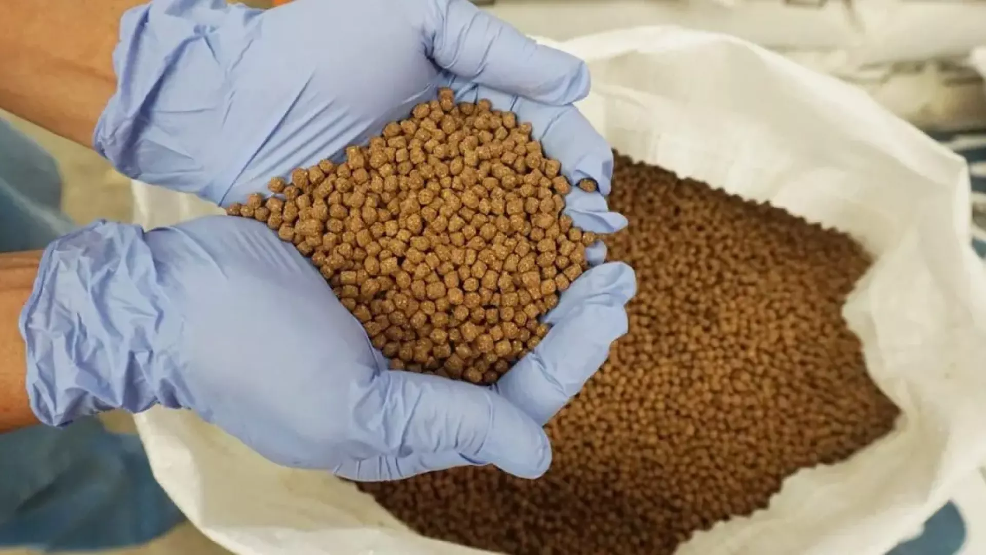 دليل شامل عن اضافات الاعلاف: الأنواع، الفوائد، وكيفية الاستخدام